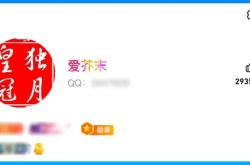 全球首位256级QQ用户诞生，解锁 “时光企鹅” 新图标
