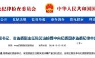 海南省检察院专委李思阳涉嫌严重违纪违法，接受纪律审查和监察调查