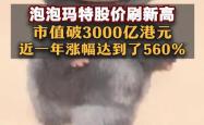 小摩：予泡泡玛特目标价330港元 近期股价疲软可“抄底”