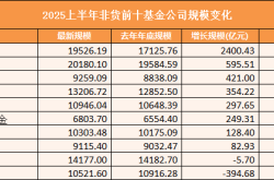 2025年上半年TOP10基金公司规模考：易方达增速3.04%排在第四位 被华夏招商华泰柏瑞超越