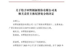 因信披违规，蜜雪冰城、奈雪的茶供应商田野股份董事长遭处分