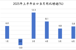 上半年我国出口同比增长5.9%，韧性来自哪里？