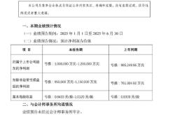 销售额 691 亿，预亏超百亿，万科发布上半年业绩预告
