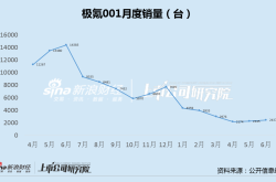 极氪被指销售