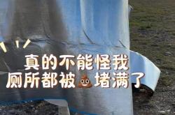 赛里木湖景区公共厕所被曝“屎满为患”，游客称直接室外排便，景区：不允许拉外面