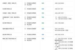 跨境支付通“满月”：参与机构扩容至19家，为何有用户汇款失败？