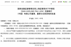 辛葆琏获准出任花旗银行董事长，曾参与瑞银证券有限责任公司设立