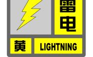 雷电黄色预警发布！申城目前“两黄一蓝”预警高挂