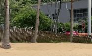 “没想到海里会有野猪！”广东一女子被撞致骨折，淡定回应：这经历够吹一辈子