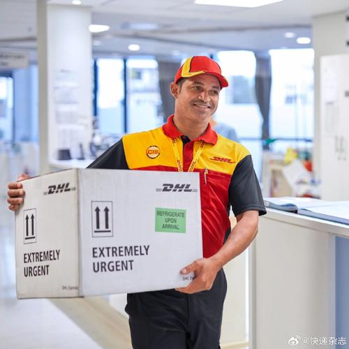 DHL计划到2030年在中东投资逾5亿欧元 第1张 DHL计划到2030年在中东投资逾5亿欧元 第1张